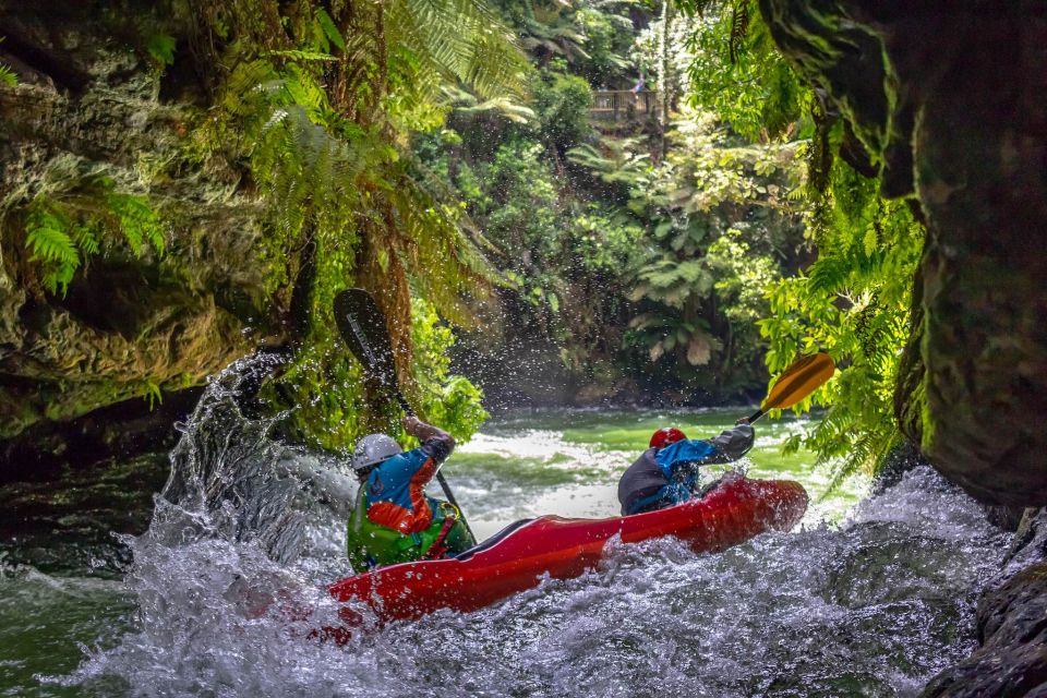 Epic Tandem Kayak Tour Down the Kaituna River Waterfalls - Customer Reviews and Testimonials