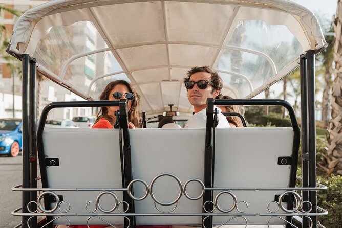 Expert Tour of Malaga in Private Eco Tuk Tuk - Additional Details