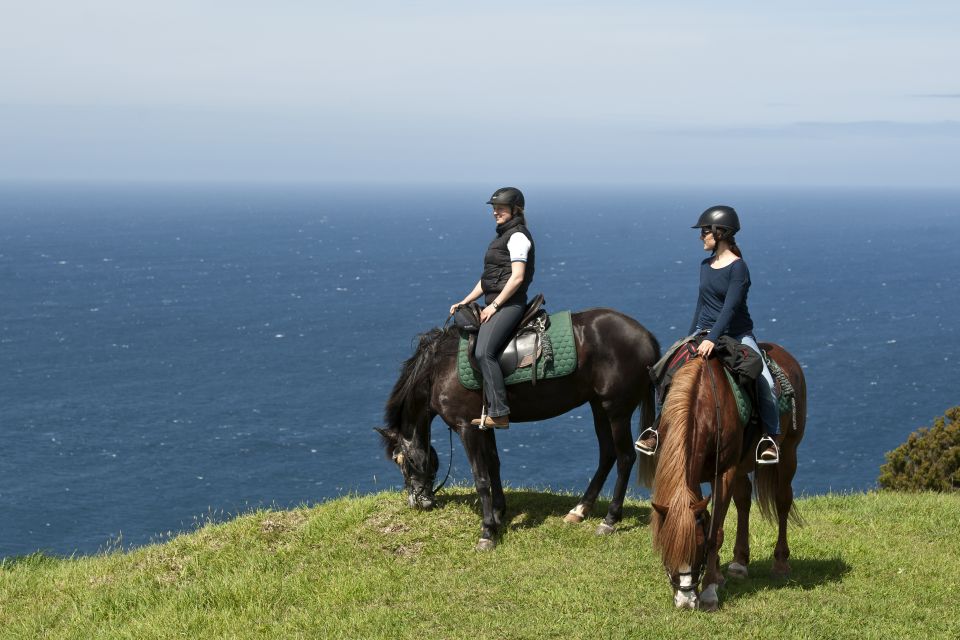 Faial Island: Horseback Riding on Lusitano Trail - Exclusions and Suitability