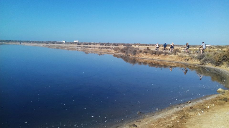 Faro Bike Tour Through the Beautiful Ria Formosa - Customer Reviews