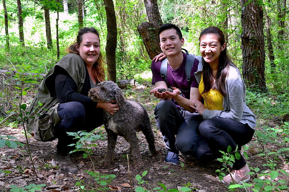 Florence: Truffle Hunting, Food, and Wine Tour for Gourmet - Booking and Availability