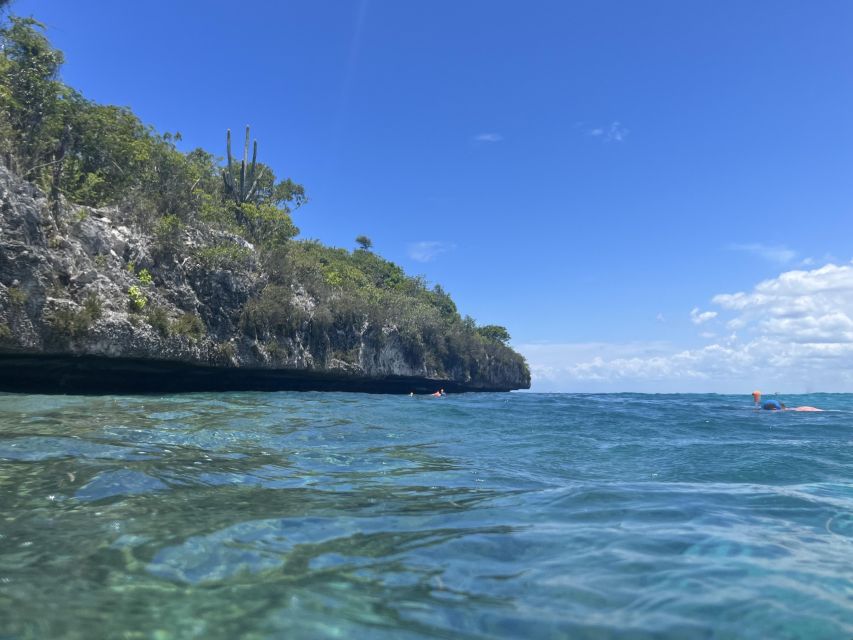 For Costa Cruise Ship Passengers: Visit of Saona Island - Relaxation and Snorkeling at Canto De La Playa