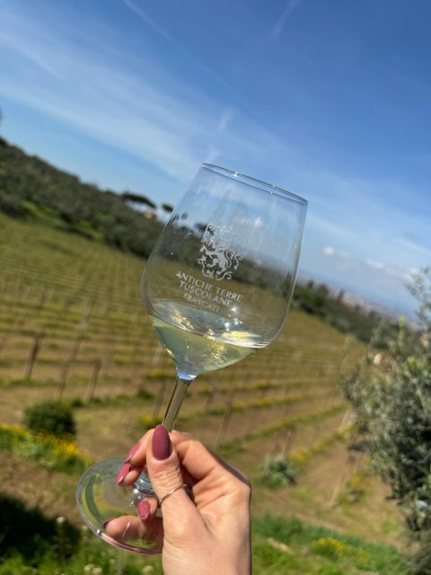 Frascati: Wine Tasting Tour With Lunch and Vineyard Visit - Frequently Asked Questions