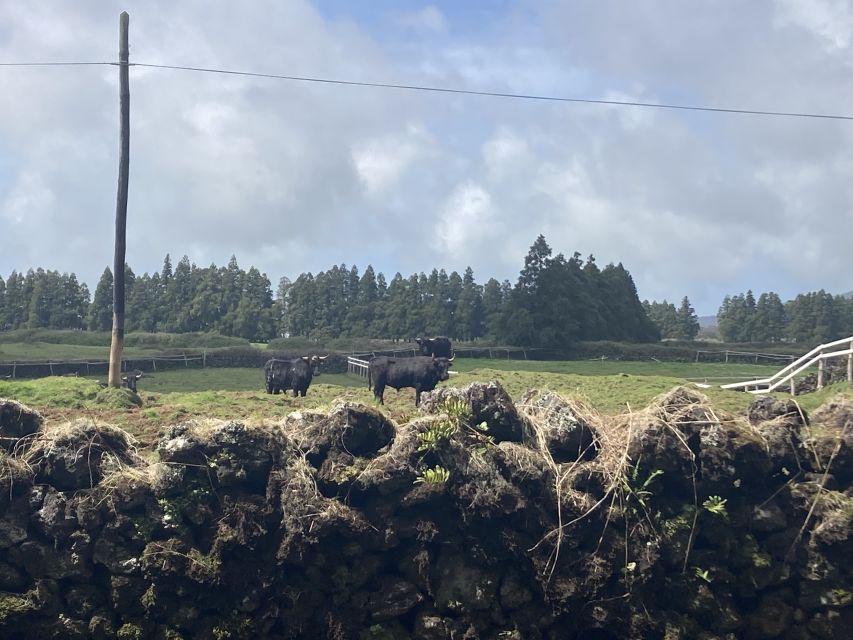 From Angra Do Heroismo: Terceira Island Full-Day TourThis Tour Provides an Opportunity to Explore the Beautiful Terceira Island, Located in the Azores Archipelago off the Coast of Portugal. Terceira Island Is Known for Its Well-Preserved Historical Sites, Picturesque Landscapes, and Unique Local Culture. the Full-Day Tour Will Allow Visitors to Discover the Island's Highlights, Including Its Charming Town of Angra Do Heroismo, a - Booking Details