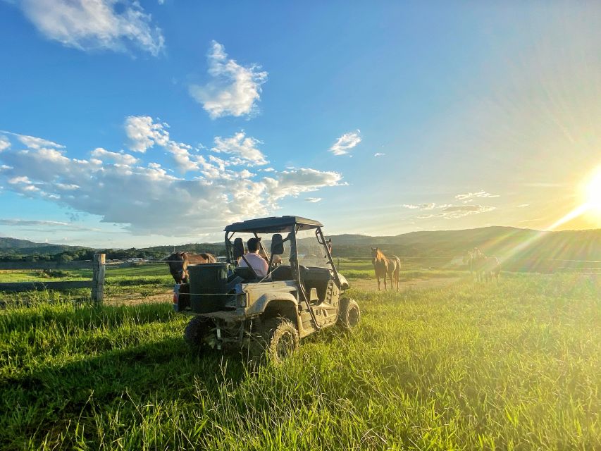 From Cairns: Kuranda Day Trip With Petting Zoo and Quad Ride - Frequently Asked Questions