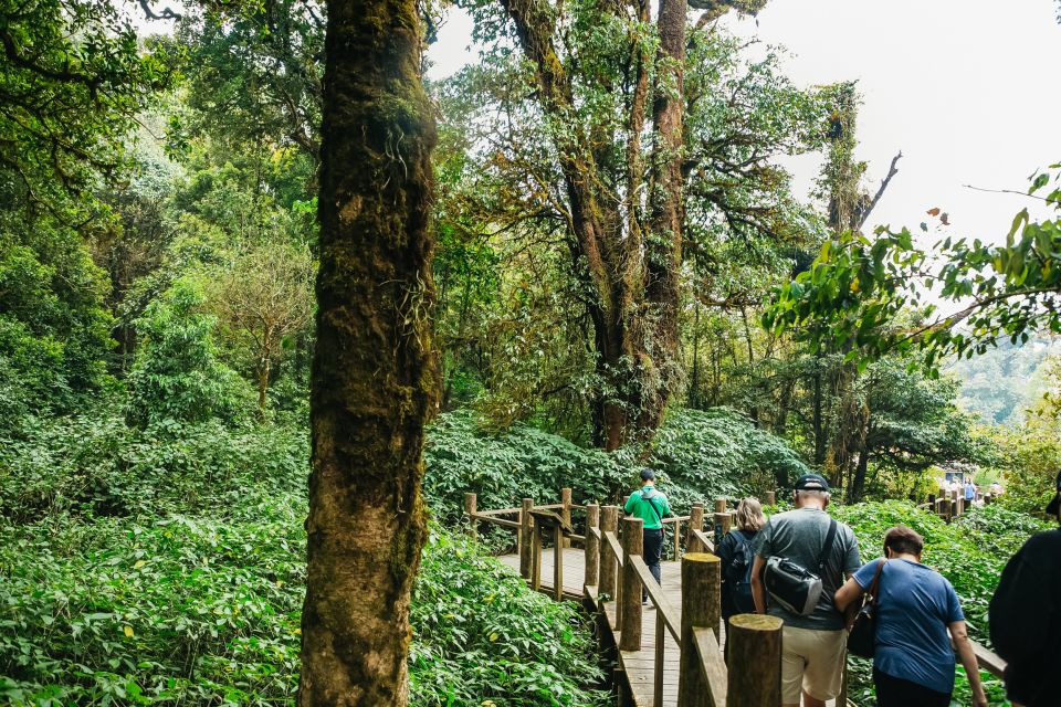 From Chiang Mai: Doi Inthanon National Park Day Trip - Inclusions and Information