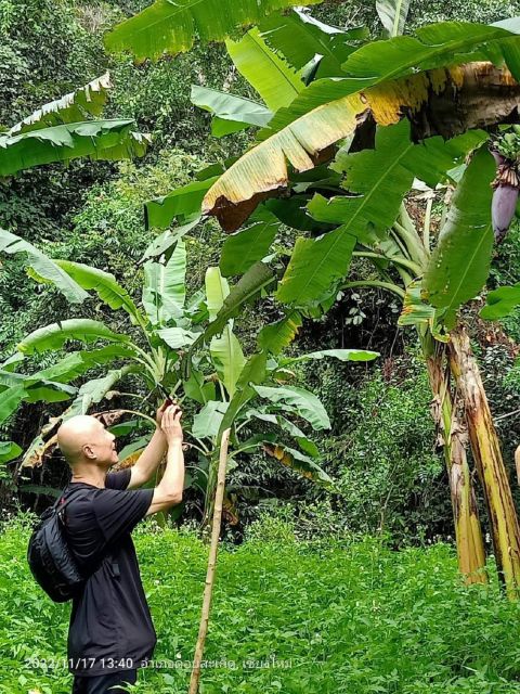 From Chiang Mai: Doi Saket Hiking Tour With Lunch - Locally Grown Offerings