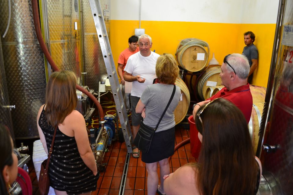 From Florence: Chianti Winery Tour With Lunch - Transportation and Guide