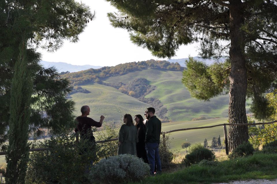 From Florence: Val D'orcia Full-Day Wine Tasting Tour - Important Information