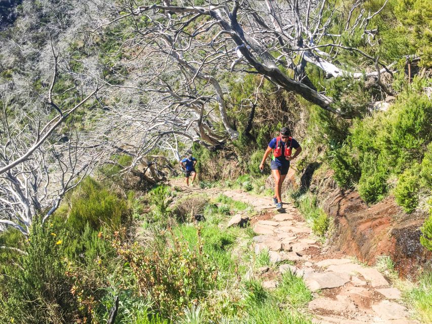 From Funchal: The Peaks Quest Running Tour (Moderate-Hard) - Customer Ratings