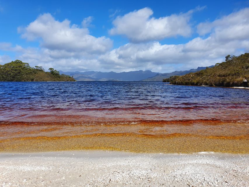 From Hobart: Gordon Dam and Lake Pedder Wilderness Day Tour - Recap