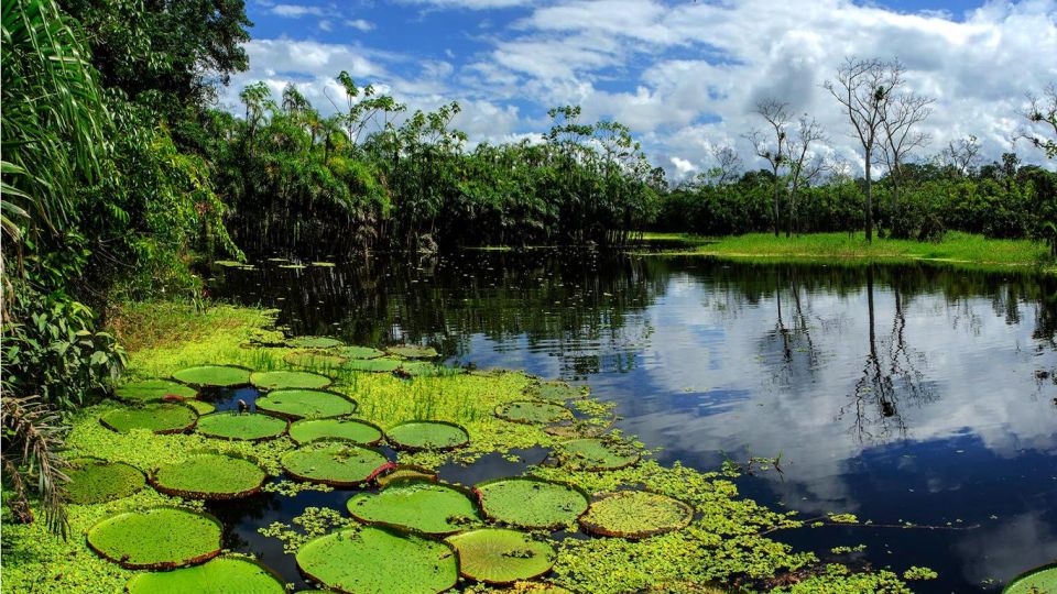 From Iquitos: 4 Days/3 Nights in Amazonian Lodge With Meals - Pricing and Cancellation Policy