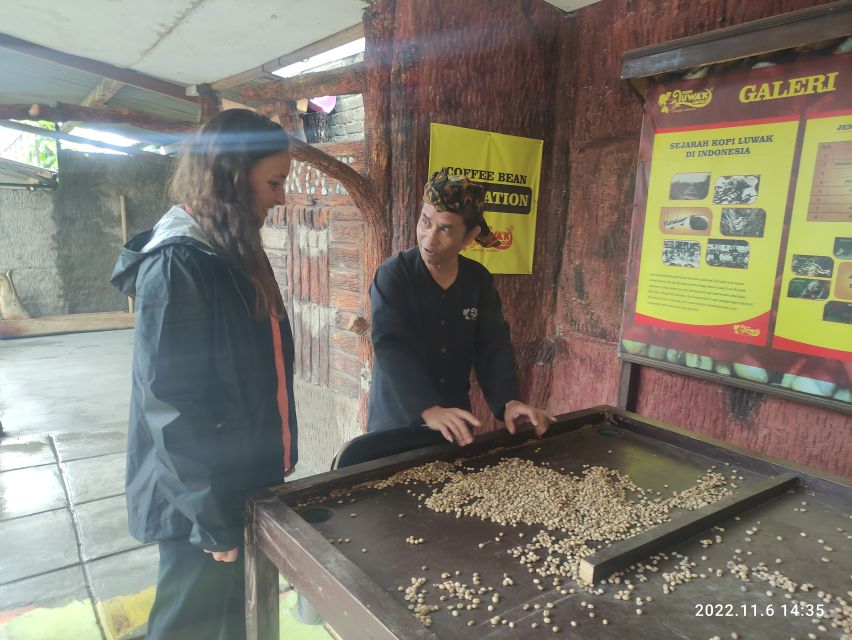 From Jakarta: Volcano, Hot Spring, Tea Factory, & Luwak Tour - Tour Details