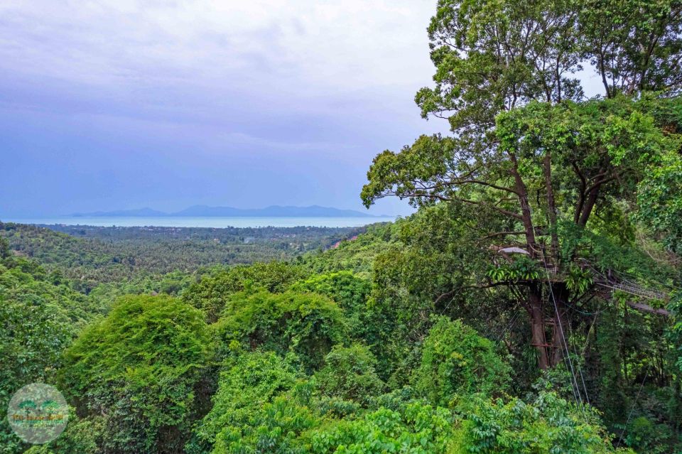 From Koh Samui: Tree Bridge Zipline and Café Experience - Enjoy the Cafe After Ziplining