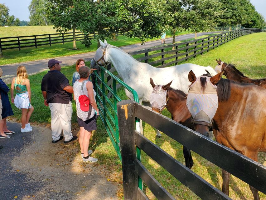 From Lexington: Kentucky Horse Farms Tour - Tour Highlights and Experiences