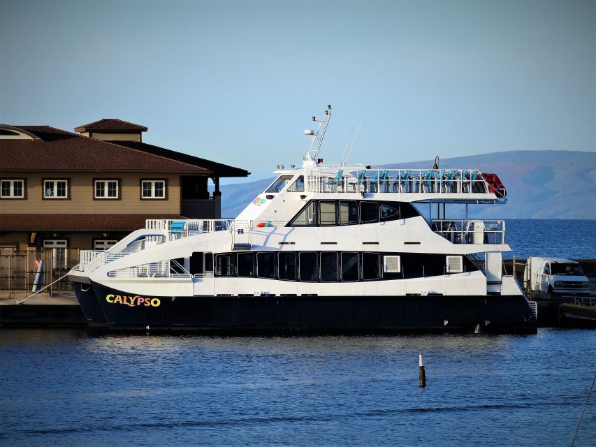 From Maalaea: Thanksgiving Dinner Cruise Aboard the Calypso - Accessibility and Special Needs