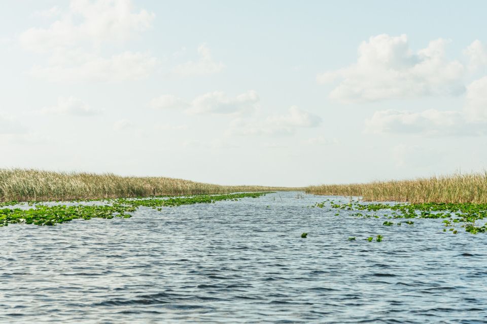 From Miami: Everglades Airboat, Wildlife Show & Bus Transfer - Spanish Language Tour Option