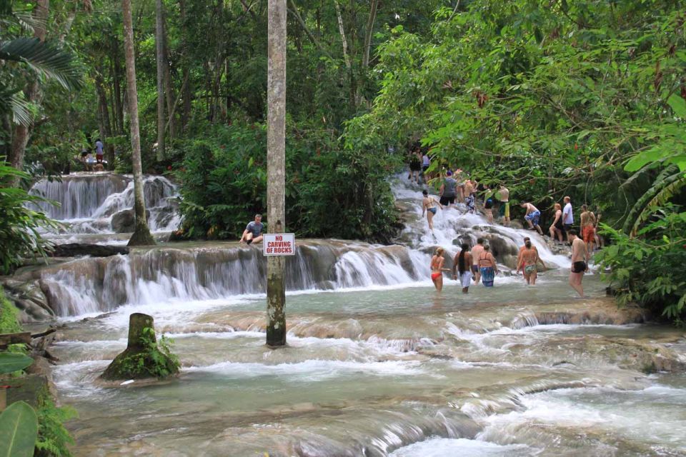 From Montego Bay: Dunn's River Falls Experience - Highlights of the Dunns River Falls Experience