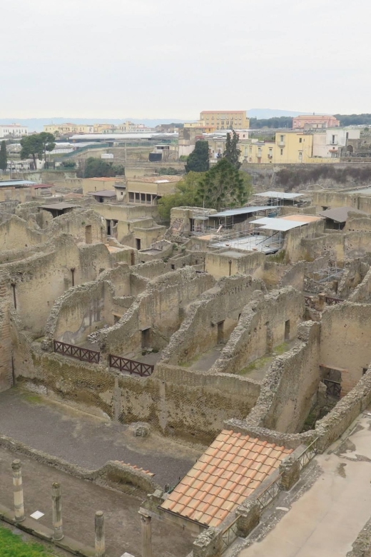 From Naples: Pompeii, Herculaneum, and Vesuvius Private Tour - Recap