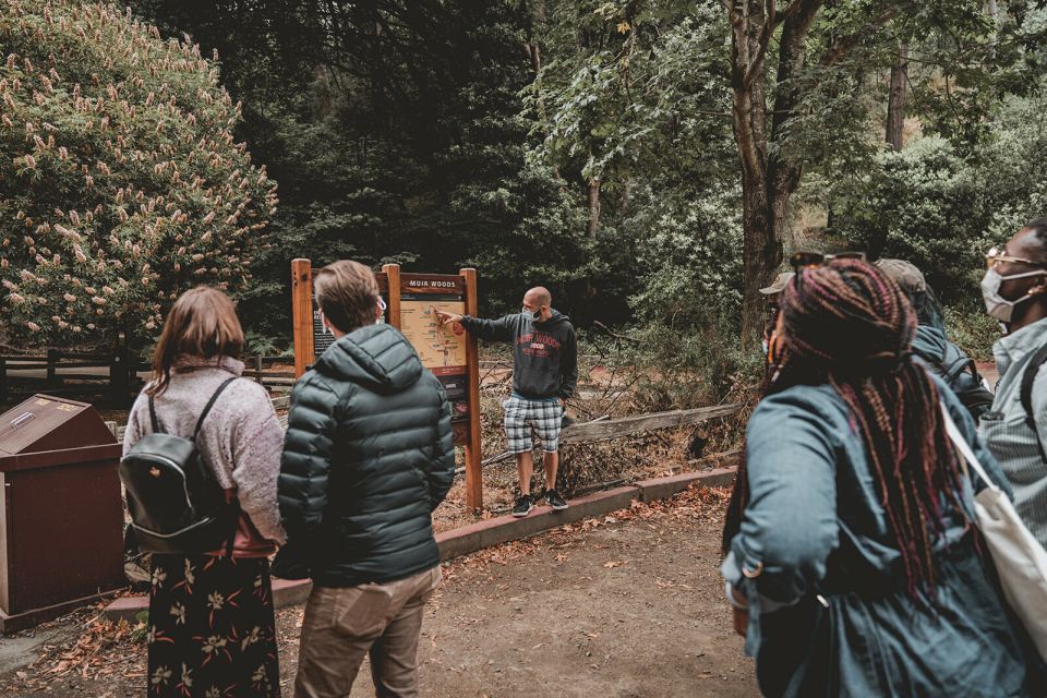 From San Francisco: Muir Woods Redwood Forest Tour - Pricing and Booking