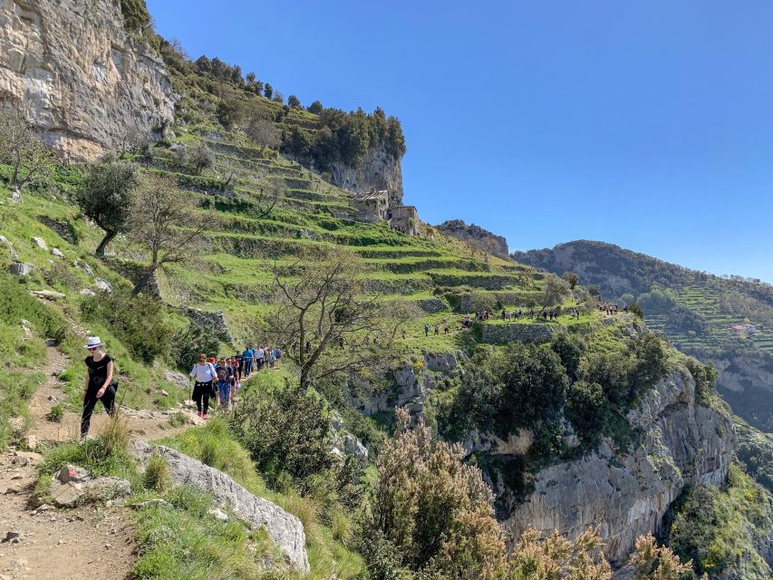 From Sorrento: Path of the Gods Hiking Experience - Tour Details