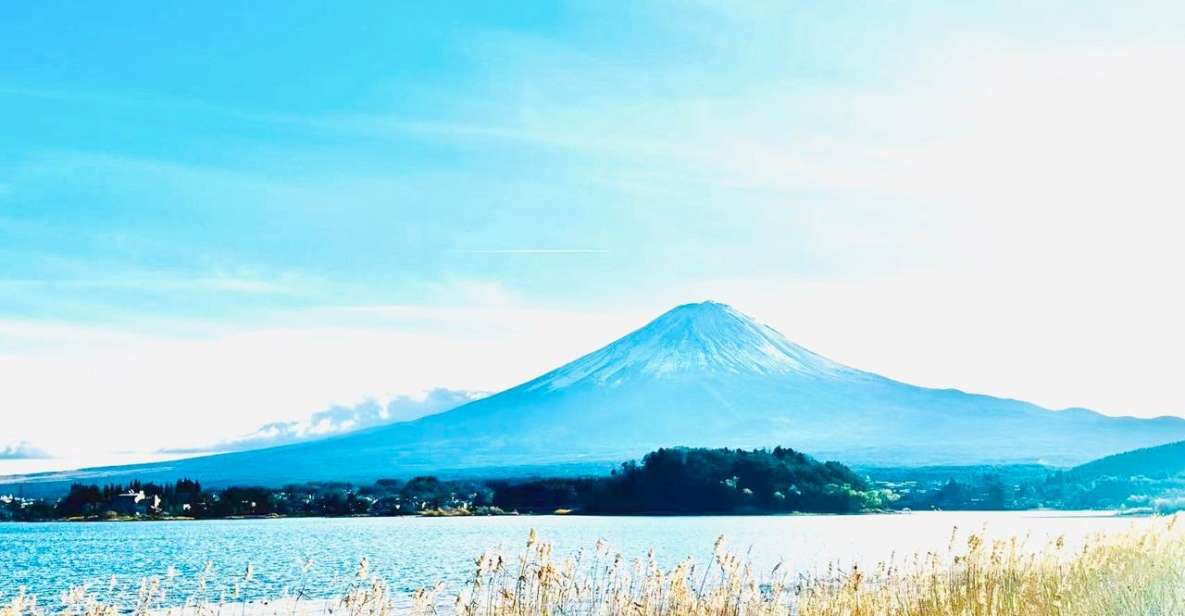 From Tokyo: Guided Day Trip to Kawaguchi Lake and Mt. Fuji - Tour Logistics and Restrictions