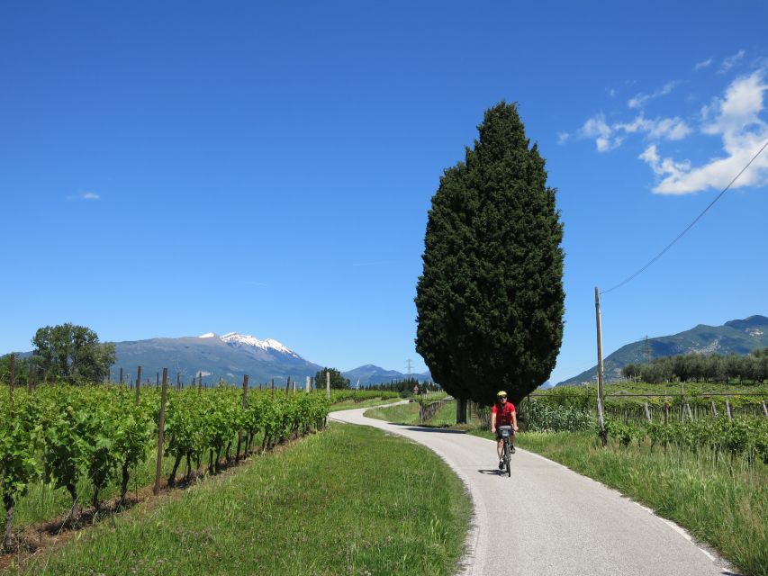 From Verona: Lake Garda E-Bike Tour With Lunch SELF GUIDED - Restrictions