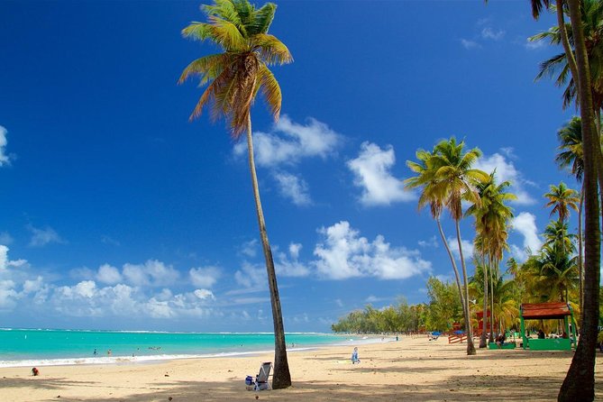 Full-Day El Yunque Rainforest and Luquillo Beach Tour - Tips for a Great Experience