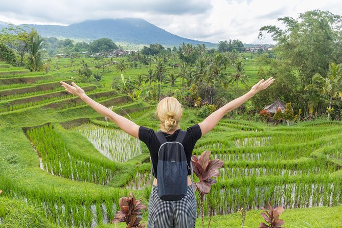 Full-Day Tour to Water Temples and UNESCO Rice Terraces in Bali - Overview and Highlights of the Tour