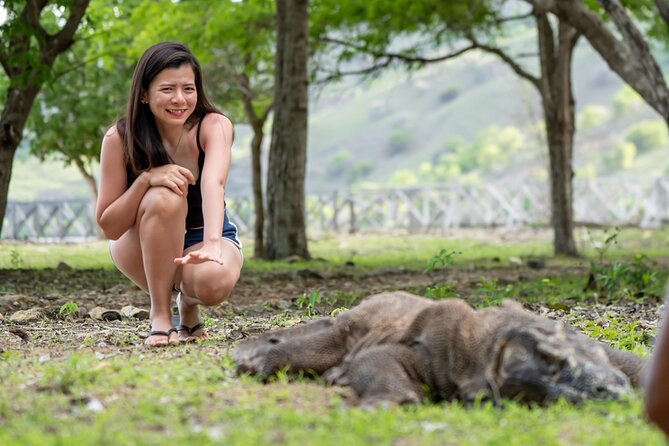 Full Day Trip to Explore 6 Destinations in Labuan Bajo and Komodo - Booking and Cancellation Details