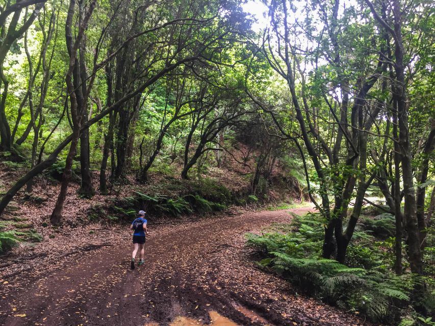 Funchal: Ocean to Mountain Running Tour - Suitability and Limitations