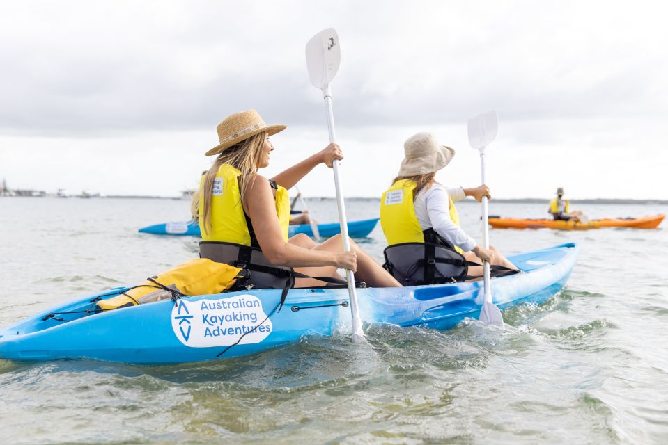 Gold Coast: Kayaking and Snorkeling Guided Tour - Frequently Asked Questions