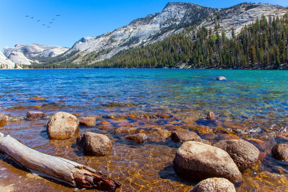 Grand Teton, Yellowstone, Glacier NP: Self-Guided Audio Tour - Tour Inclusions