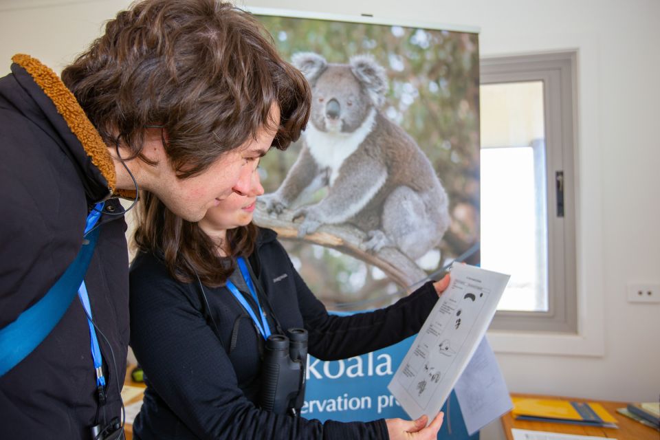 Great Ocean Road: Guided Wildlife Walk That Supports Nature - Frequently Asked Questions