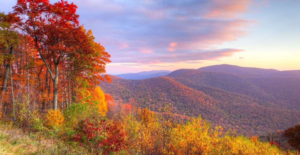 Great Smoky & Shenandoah National Park Driving Audio Tour - Offline Maps and Support Available