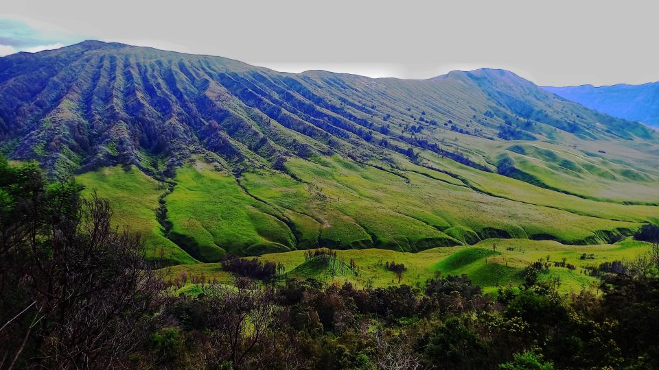 Guided Bromo Dirt Bike Tour From Malang or Surabaya - Tour Highlights