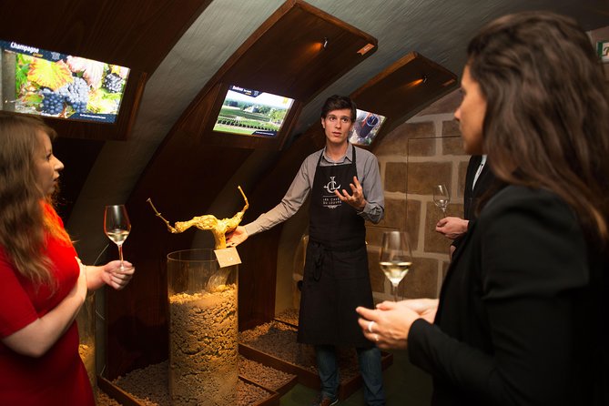 Guided Visit and Wine Tasting in a Royal Wine Cellar in Paris - Booking and Group Size