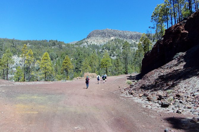 Hiking in Tenerifes Great Outdoors - Photography Opportunities