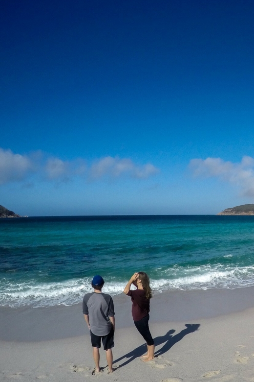 Hobart: Wineglass Bay & Freycinet Active Day Tour - Customer Reviews