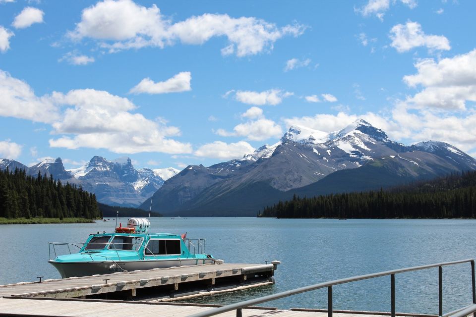 Jasper: Maligne Valley Wildlife Watching & Boat Tour - Wildlife Watching Opportunities