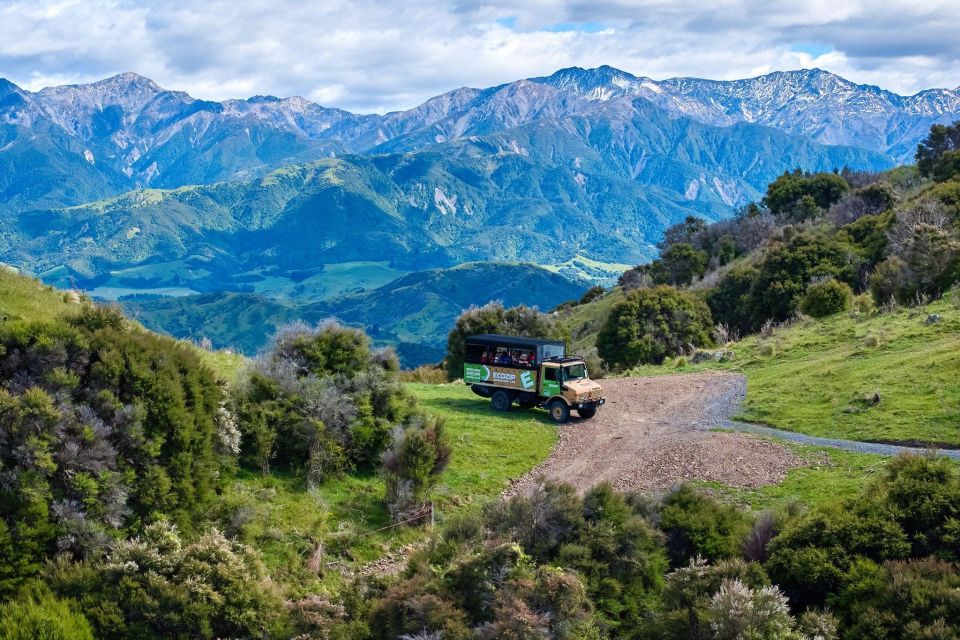 Kaikoura: Zipline and Native Forest Adventure Trip - Frequently Asked Questions