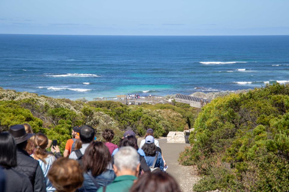 Kangaroo Island Full Day Experience by Ferry Including Lunch - Frequently Asked Questions