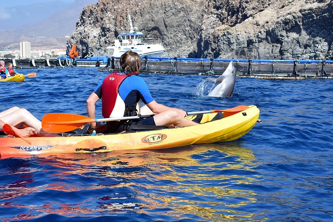 Kayaking With Dolphins and Turtles and Snorkelling in Tenerife - Tour Pricing and Duration