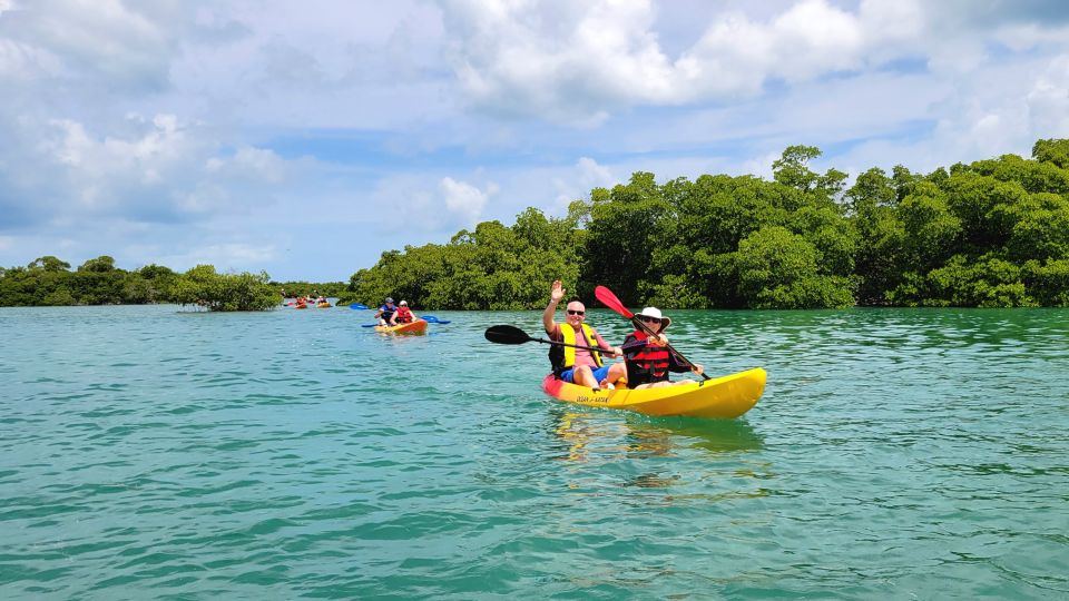 Key West: Sandbar Excursion & Kayak Tour With Lunch & Drinks - Kayaking Through Mangrove Islands