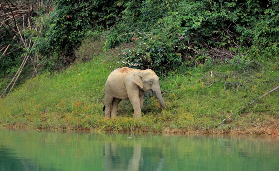 Khao Lak: Cheow Lan Lake Overnight Resort Stay With Meals - Booking and Reservations