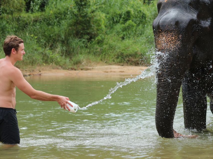 Khao Lak: Elephant Bathing and Feeding Tour - Frequently Asked Questions