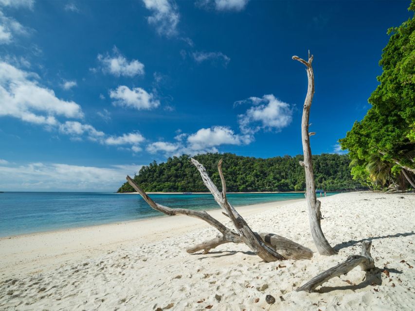 Ko Lanta: Private Longtail Rok Island Snorkeling Day Trip - Coral Reef Snorkeling Experience