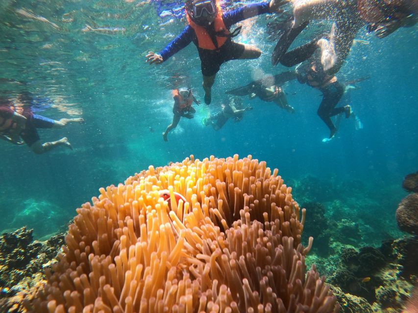 Ko Tao: Snorkeling Tour to Hidden Bays and Nang Yuan Island - Exploring Nang Yuan Island