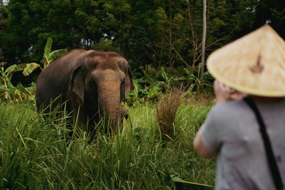 Koh Samui: Ethical Elephant Home Guided Tour With Transfers - Booking and Cancellation Policy