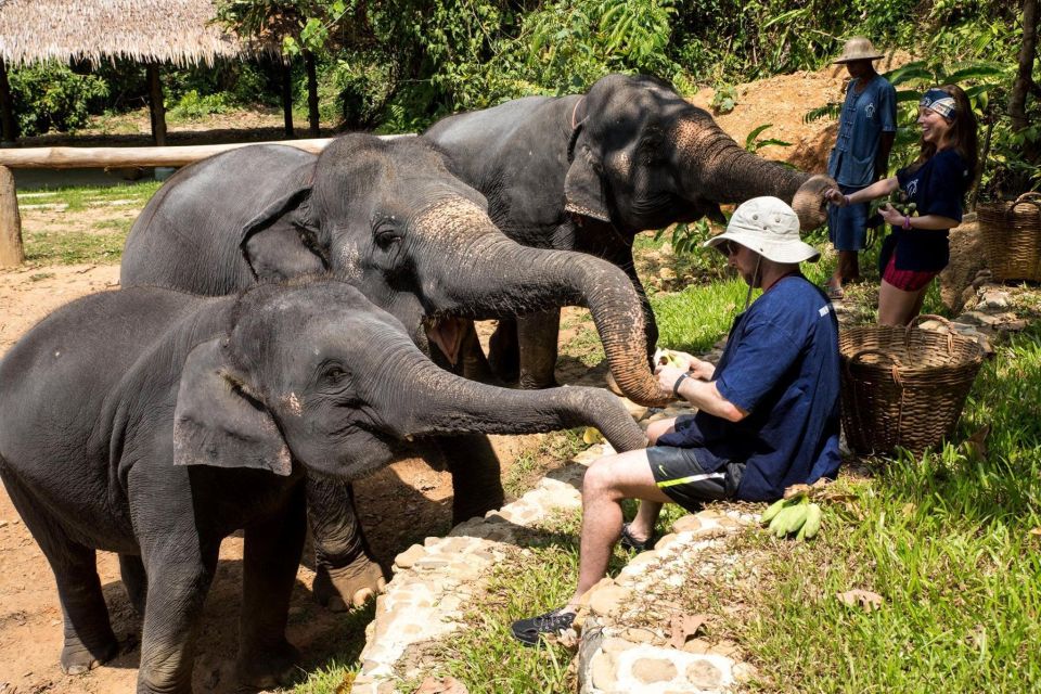 Krabi: Ethical Elephant Sanctuary Experience - Transportation and Facilities